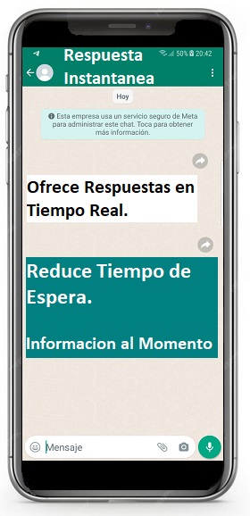Respuesta Instantanea