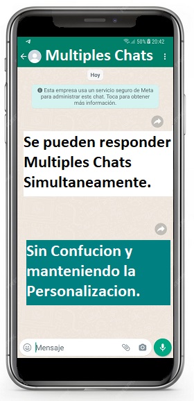 Multiples Chats